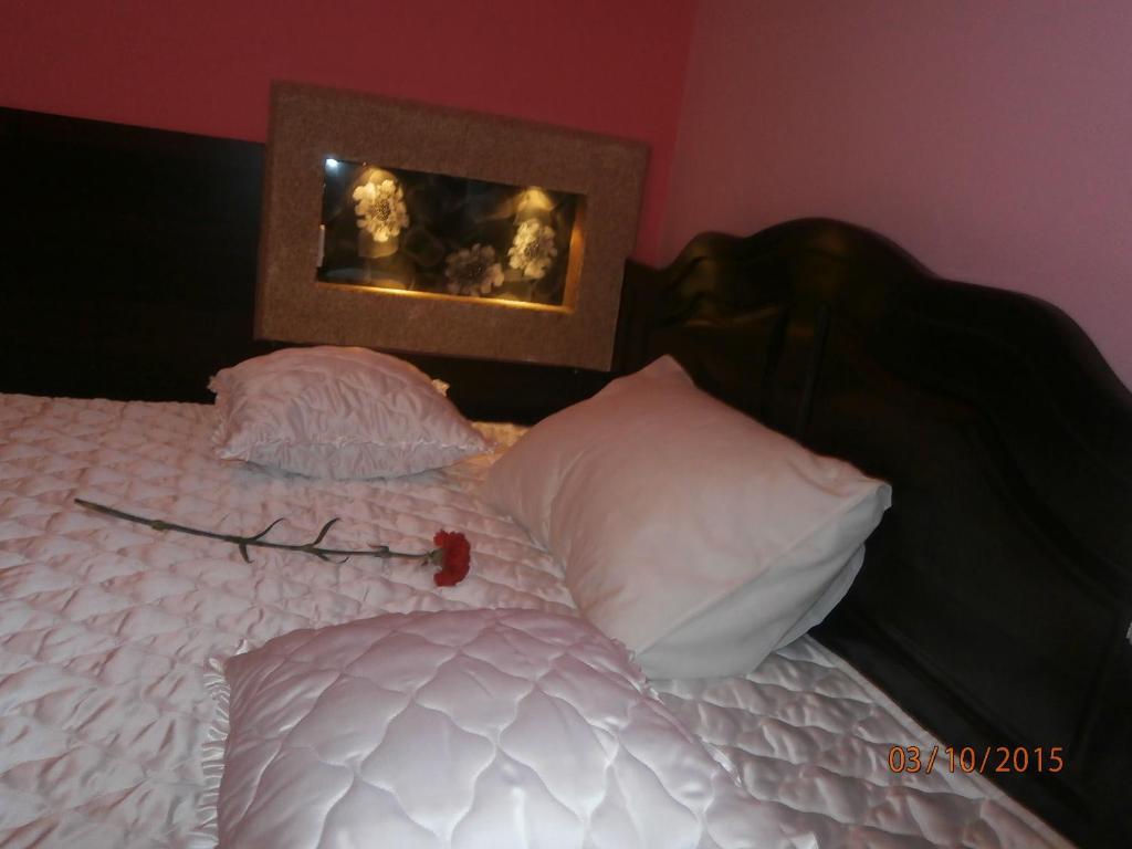 Hotel Vila Mitic Luxx Spa Centar Leskovac  Buitenkant foto